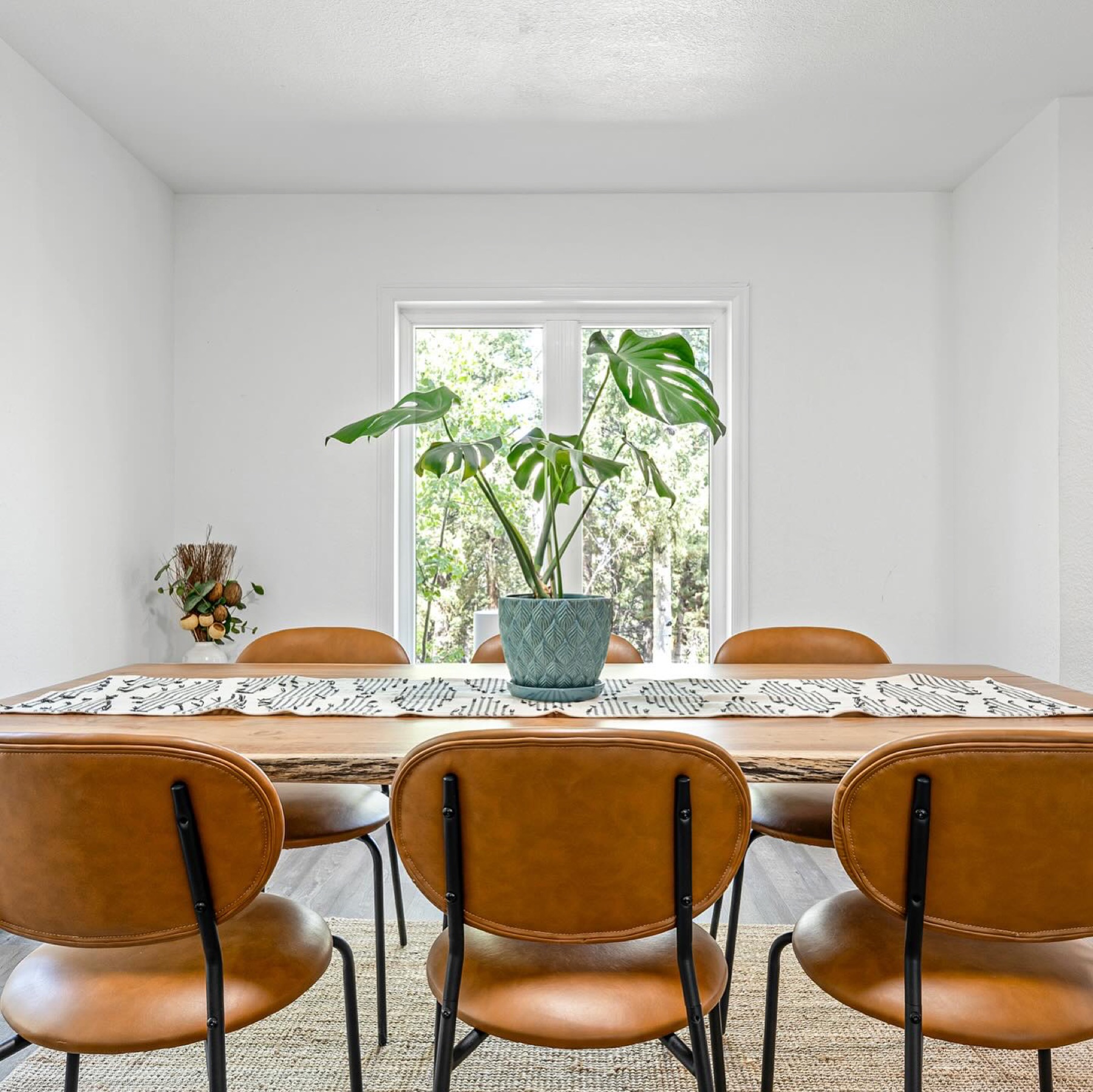 Warm dining room styled with caramel chairs and a large green plant